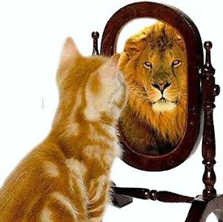 Los tontos se creen listos Los tontos se creen listos