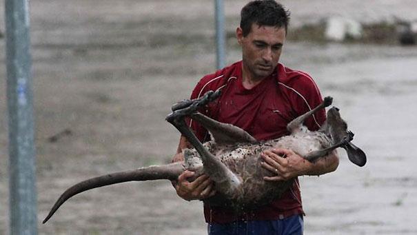 21 actos bondadosos 21 actos de bondad