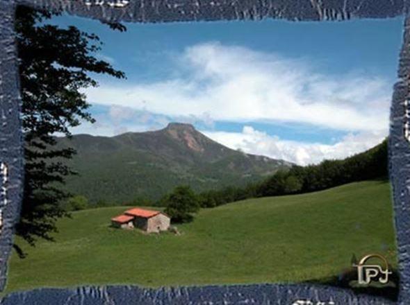 Enmarcando fotos I Enmarcando fotos I