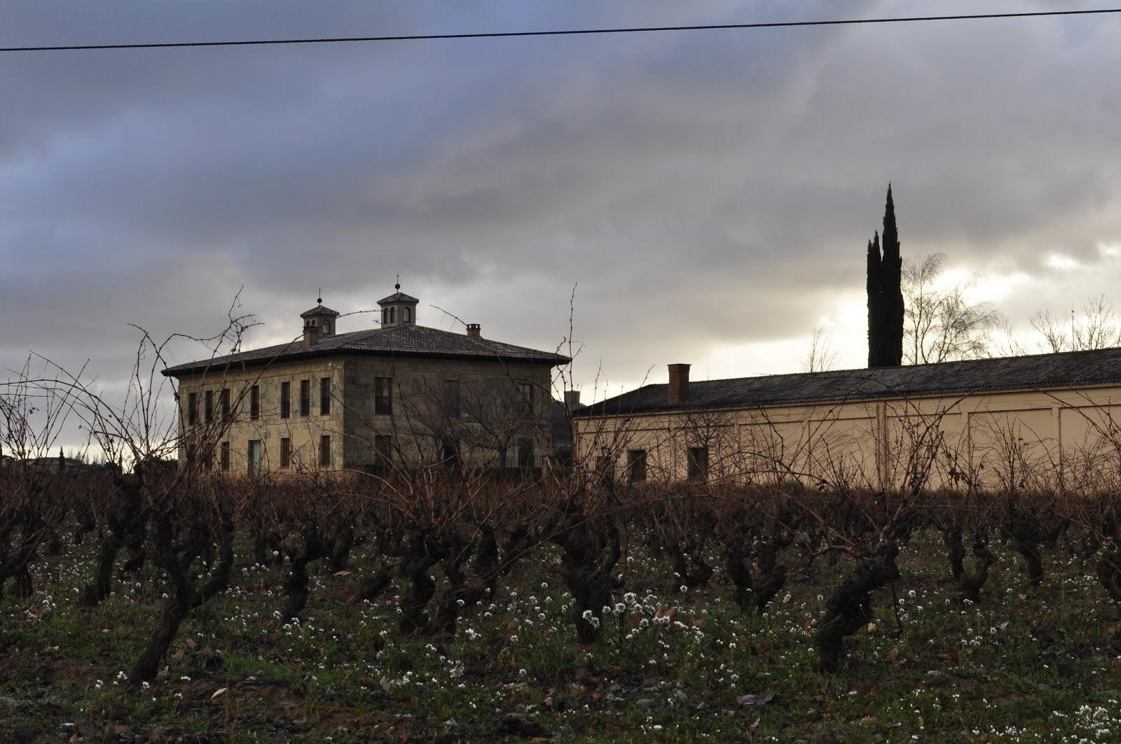 LA RUTA DEL VINO EN LA RIOJA ALAVESA