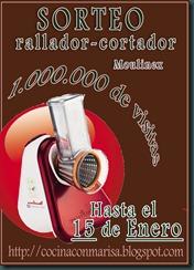 CARTEL CONCURSO VISSITAS CARTEL CONCURSO VISSITAS