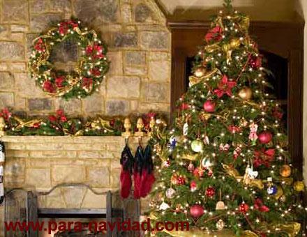 Preparando La Navidad: El Árbol Preparando La Navidad: El Árbol