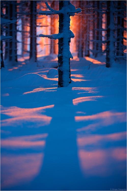 Inspiration days (II) Inspiration days (II)