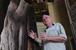 Pintor cubano García Portela propone nueva visualidad paisajística Pintor cubano García Portela propone nueva visualidad paisajística