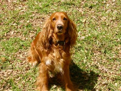 Hoy no hablamos de libros. Hoy no hablamos de libros.