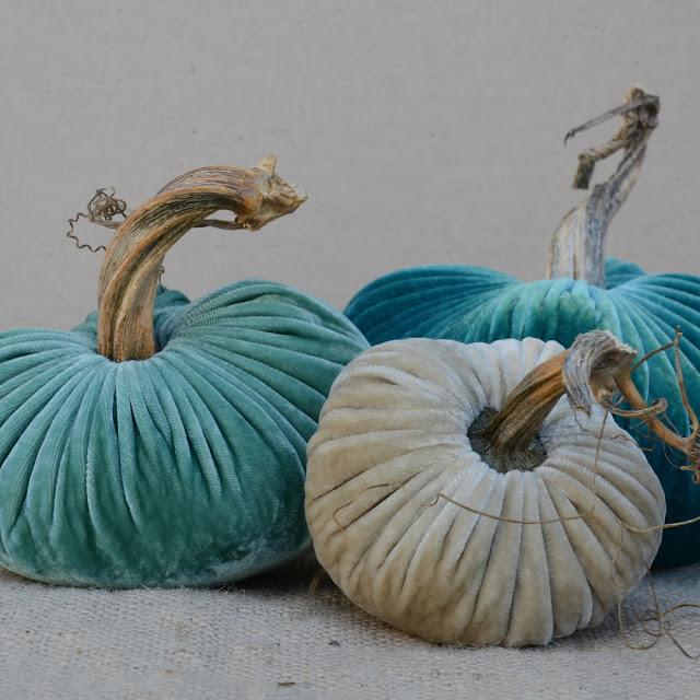 Calabazas de terciopelo Calabazas de terciopelo