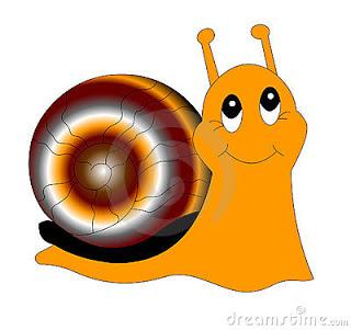 ¿CUÁL ES TU CAMINO? ¿CUÁL ES TU CAMINO?