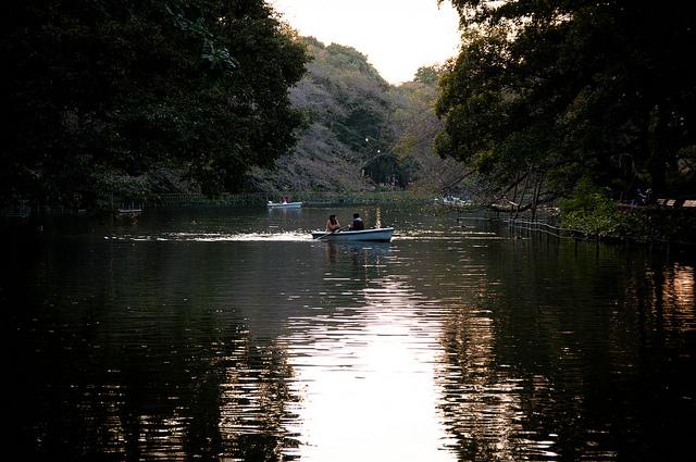 Mi 2012 en imágenes Inokashira