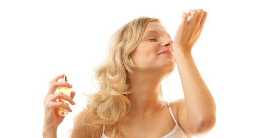 elegir un perfume en chif chif elegir un perfume en chif chif