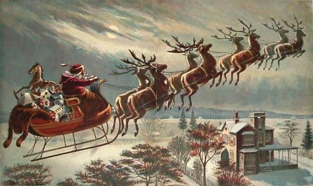 Los símbolos navideños naturales en peligro Los símbolos navideños naturales en peligro