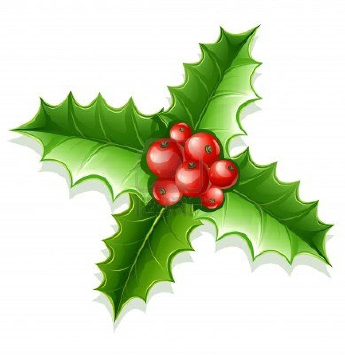 Los símbolos navideños naturales en peligro Los símbolos navideños naturales en peligro