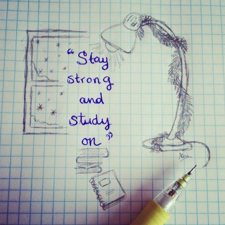 Día 22 20121222-124257.jpg