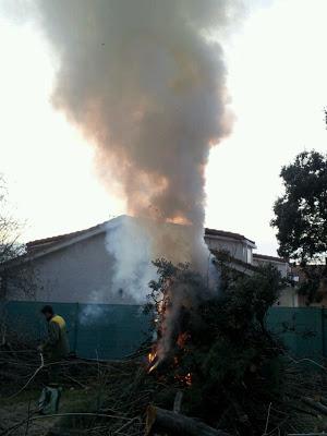 Queimada y conjuro Queimada y conjuro