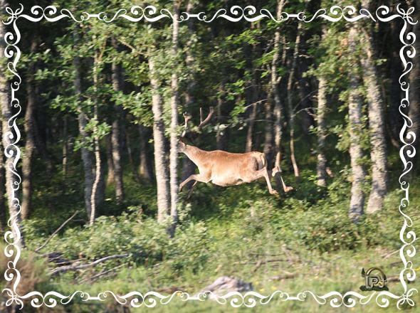 Enmarcando Fotos II Enmarcando Fotos II