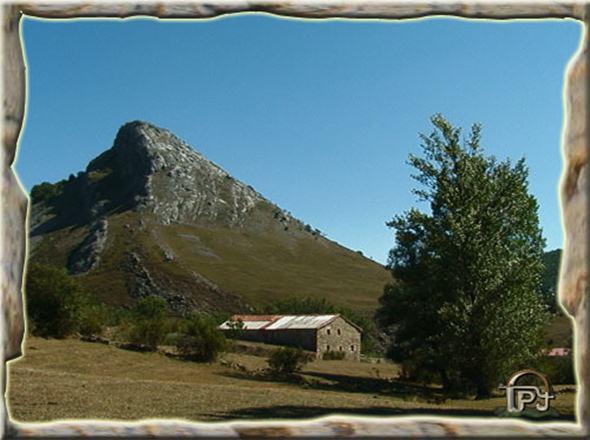 Enmarcando Fotos II Enmarcando Fotos II