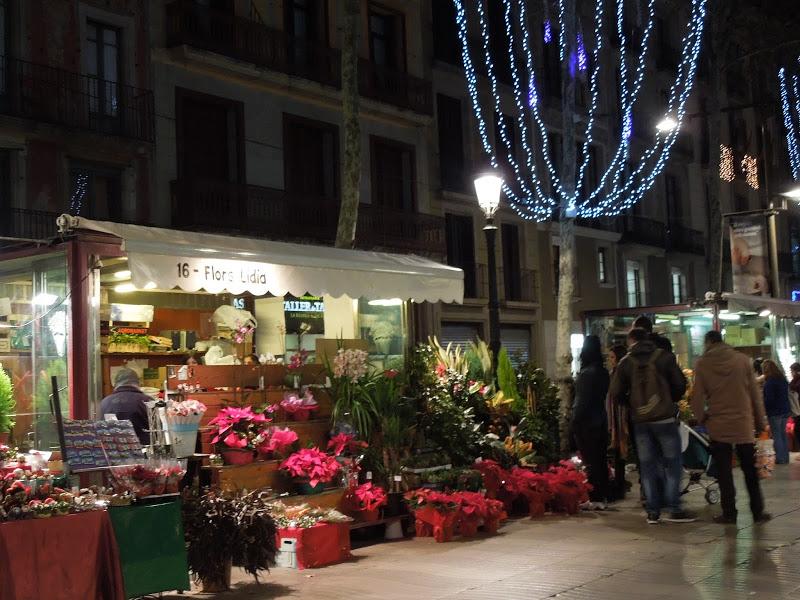 Iluminación navideña en Barcelona IX