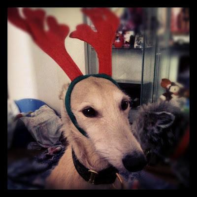 Ganadores de los Sorteos del Blog. Ganadores de los Sorteos del Blog.