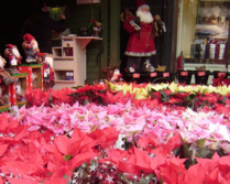 OS DESEO UN MUY FELIZ 2013 ! OS DESEO UN MUY FELIZ 2013 !