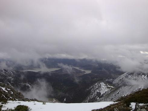 belecc81n4 belecc81n4