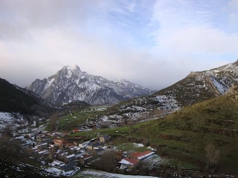 belecc81n0 belecc81n0