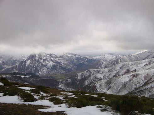 belecc81n3 belecc81n3