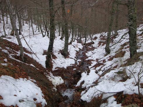 belecc81n6 belecc81n6