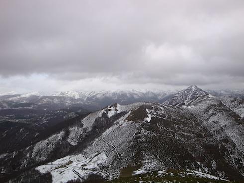 belecc81n5 belecc81n5