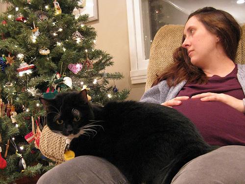 navidad-embarazo Consejos para las embarazadas en Navidad