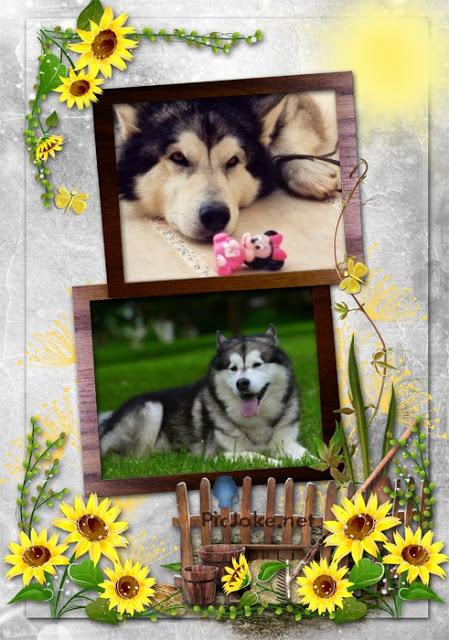 FELIZ NAVIDAD Y FELIZ 2013 (OJALÁ) FELIZ NAVIDAD Y FELIZ 2013 (OJALÁ)