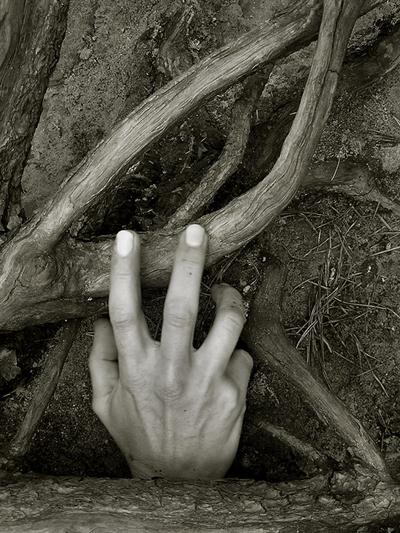 La vida continúa, a pesar de todo. La vida continúa, a pesar de todo.