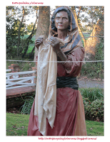 Navidad 2012 en el Botánico de Gijón Navidad 2012 en el Botánico de Gijón