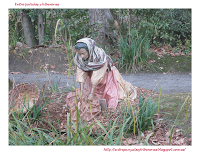Navidad 2012 en el Botánico de Gijón Navidad 2012 en el Botánico de Gijón