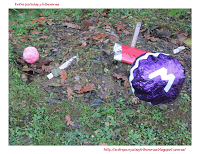 Navidad 2012 en el Botánico de Gijón Navidad 2012 en el Botánico de Gijón