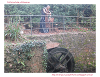 Navidad 2012 en el Botánico de Gijón Navidad 2012 en el Botánico de Gijón