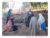 Navidad 2012 en el Botánico de Gijón Navidad 2012 en el Botánico de Gijón