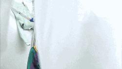 ASAMBLEA DE LA F.G.F.: