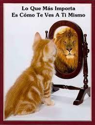 a2 a2103 Ocho consejos para conseguir una actitud positiva y optimista