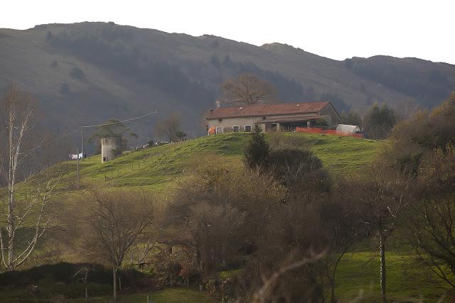 Carrejo, sabor de pueblo.