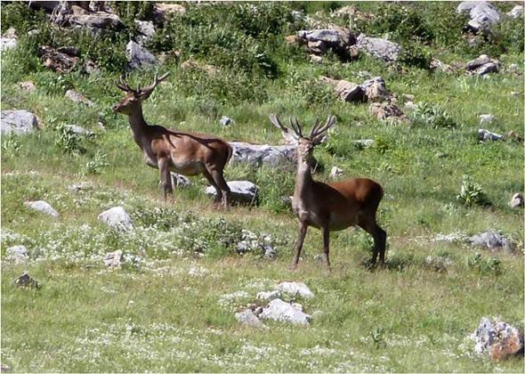 Doce meses, doce imágenes Doce meses, doce imágenes