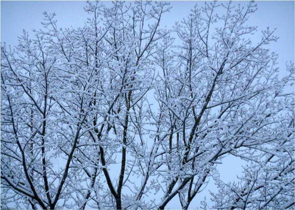 Doce meses, doce imágenes Doce meses, doce imágenes