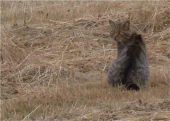 Doce meses, doce imágenes Doce meses, doce imágenes