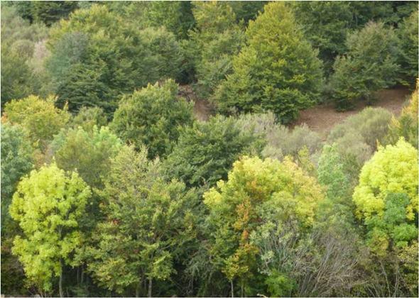 Doce meses, doce imágenes Doce meses, doce imágenes