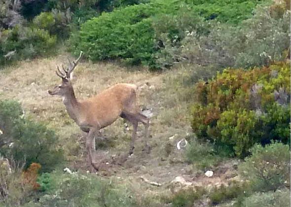 Doce meses, doce imágenes Doce meses, doce imágenes