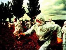 Lo más leído de Los Productos naturales en el 2012 Lo más leído de Los Productos naturales en el 2012