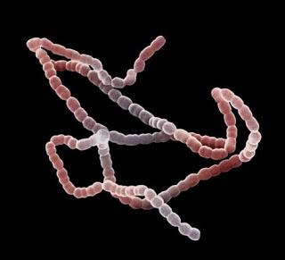 La evolución de las caries La evolución de las caries