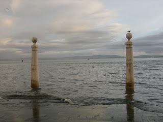 ¡Feliz año 2013! ¡Feliz año 2013!