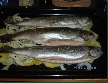 truchas con almendras2 copia truchas con almendras2 copia