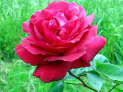 Mi 2012: 12 meses, 12 fotos / #postaday : : Weekly Photo Challenge: My 2012 in Pictures | The Daily Post Mi 2012: 12 meses, 12 fotos / #postaday : : Weekly Photo Challenge: My 2012 in Pictures | The Daily Post