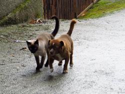 Mi 2012: 12 meses, 12 fotos / #postaday : : Weekly Photo Challenge: My 2012 in Pictures | The Daily Post Mi 2012: 12 meses, 12 fotos / #postaday : : Weekly Photo Challenge: My 2012 in Pictures | The Daily Post