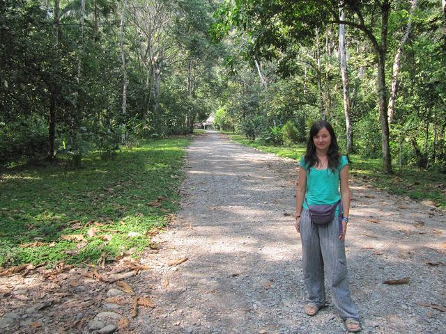 Encantos de Tingo María: a las puertas de la selva